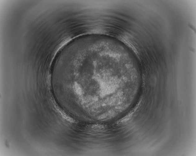 X0000098001029200804141202