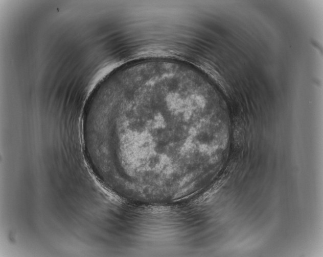 X0000098001030200804141202