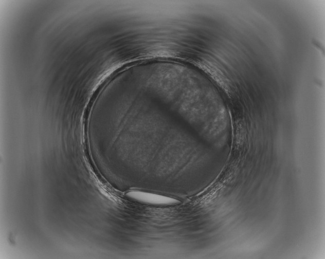 X0000098001031200804141202