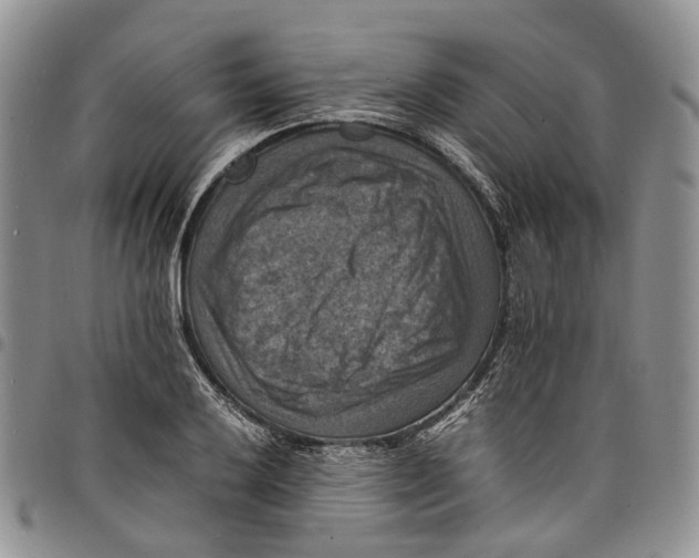 X0000098001032200804141202