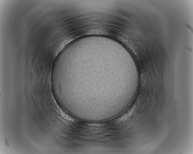 X0000098001033200804141202