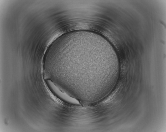 X0000098001034200804141202
