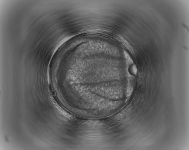 X0000098001036200804141202