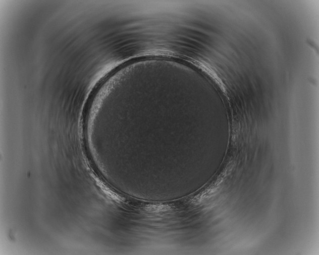 X0000098001037200804141202