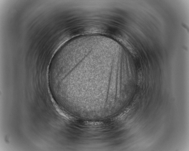 X0000098001039200804141202