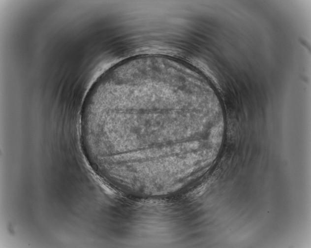 X0000098001040200804141202
