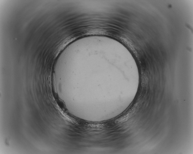 X0000098001041200804141202