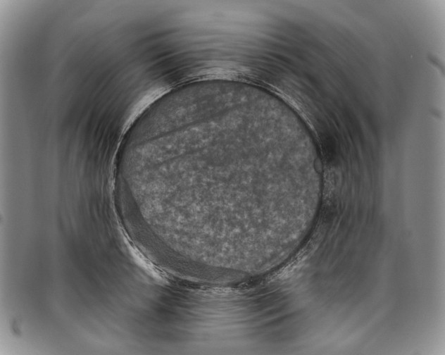 X0000098001042200804141202