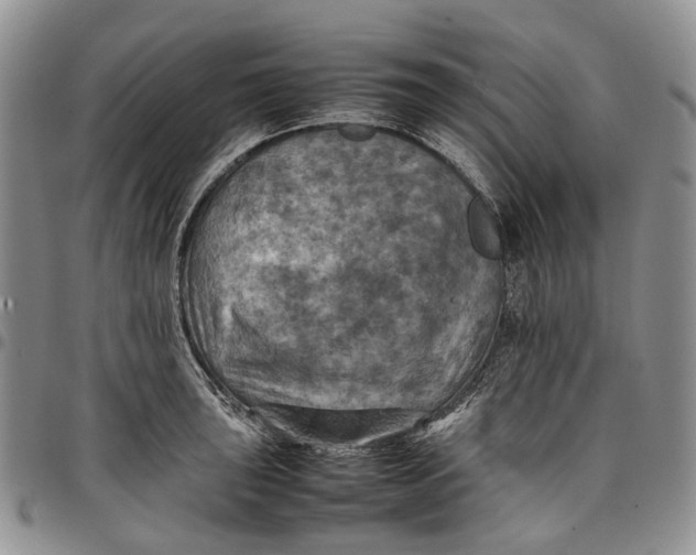 X0000098001043200804141202