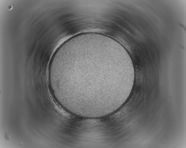 X0000098001044200804141202