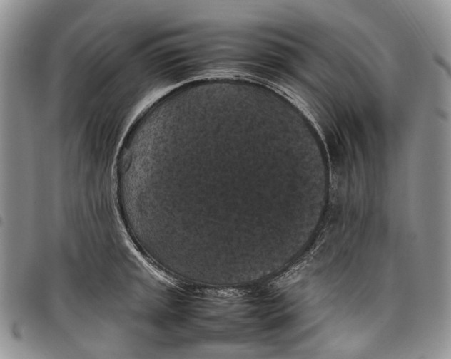 X0000098001045200804141202