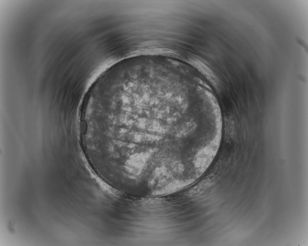 X0000098001046200804141202