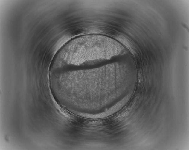 X0000098001047200804141202