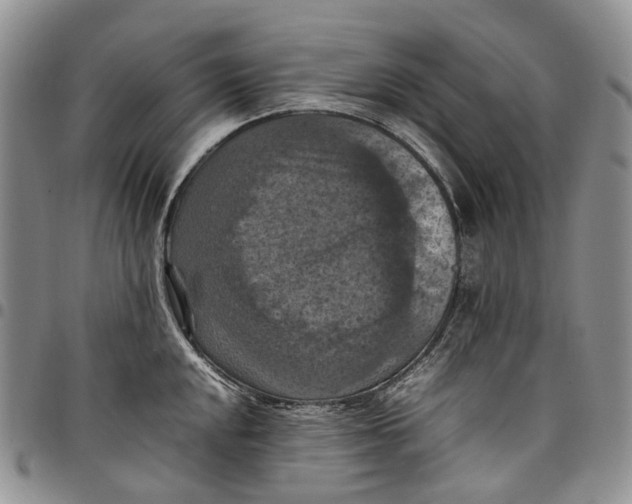 X0000098001048200804141202