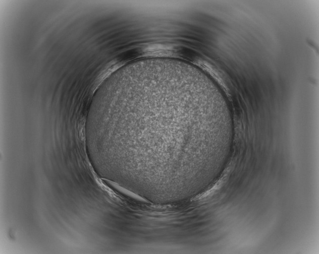 X0000098001049200804141202