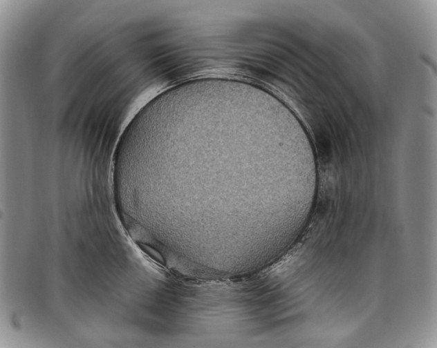 X0000098001050200804141202