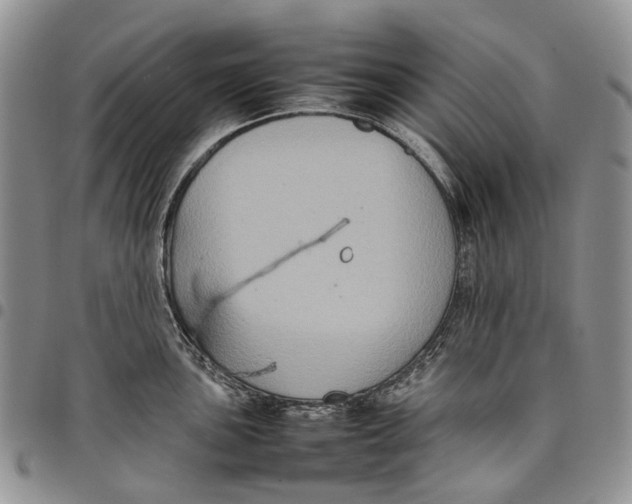 X0000098001051200804141202