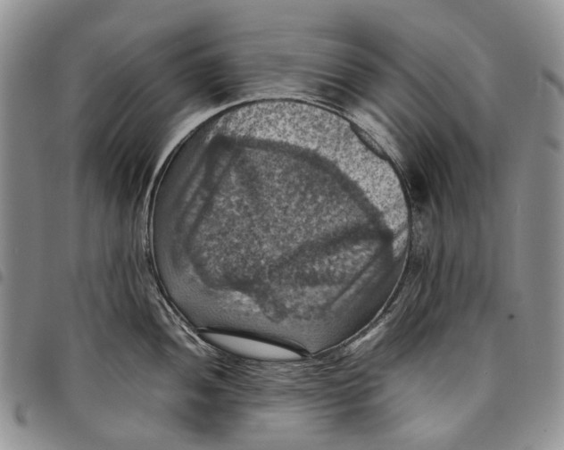 X0000098001052200804141202