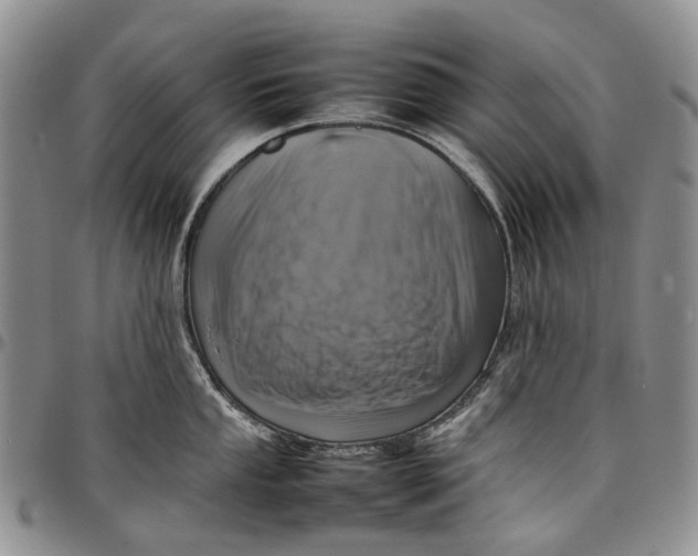 X0000098001053200804141202