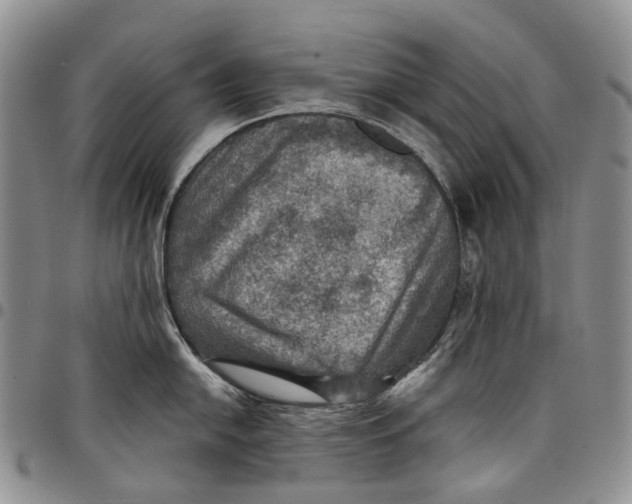 X0000098001054200804141202
