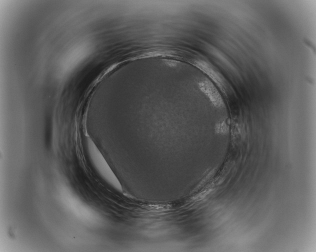X0000098001055200804141202