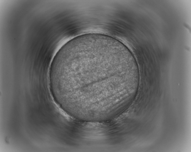 X0000098001056200804141202