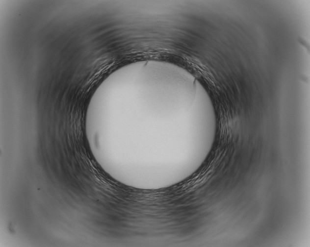 X0000098001060200804141201