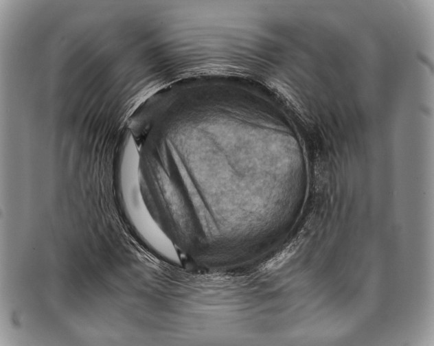 X0000098001065200804141201