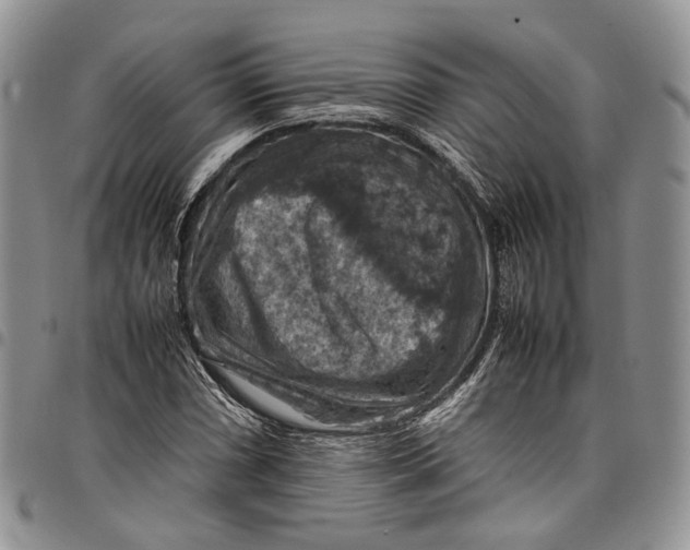 X0000098001066200804141201