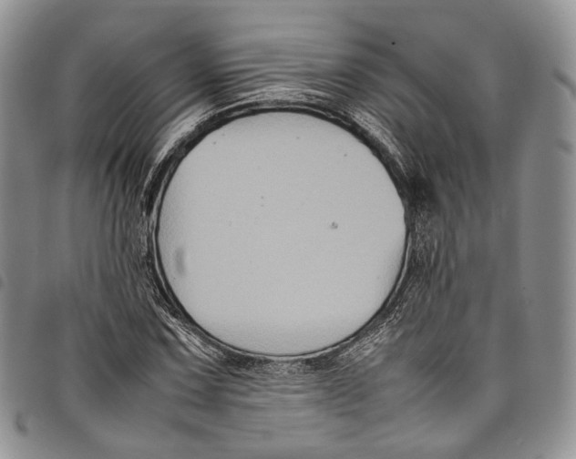 X0000098001067200804141201