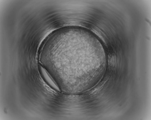 X0000098001068200804141201