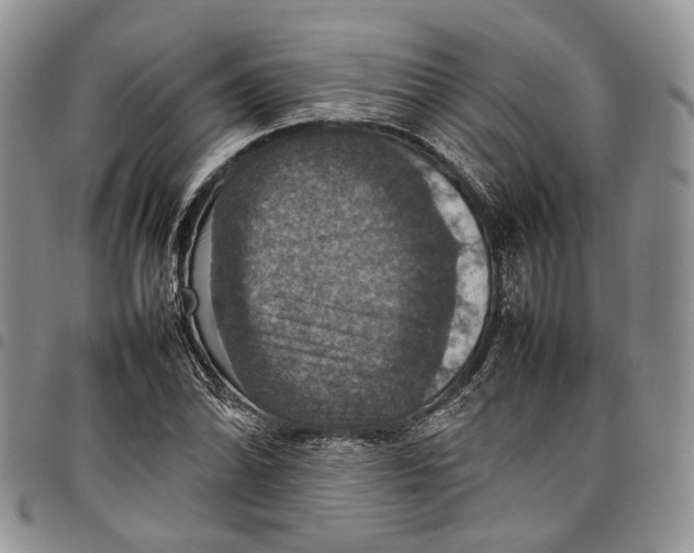 X0000098001070200804141201