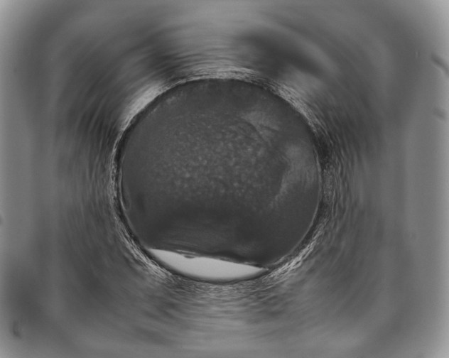 X0000098001071200804141201