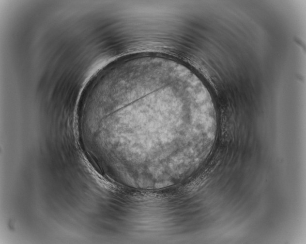 X0000098001072200804141201