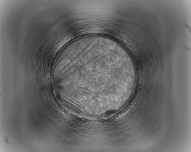 X0000098001073200804141201