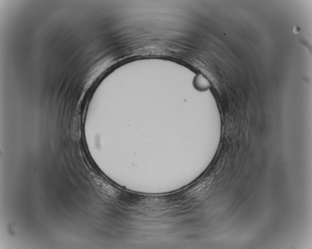 X0000098001075200804141201