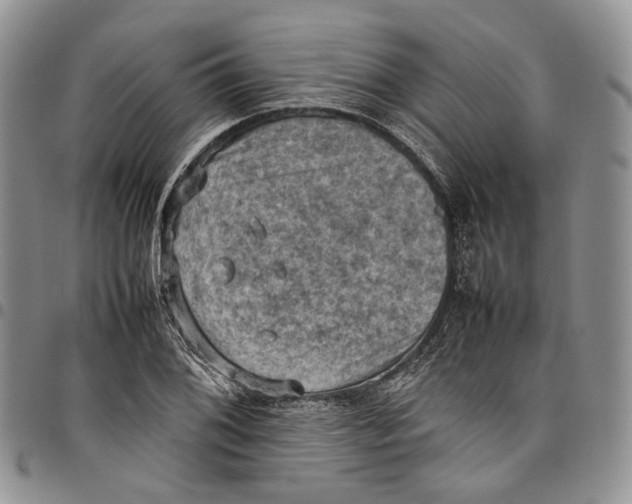 X0000098001076200804141201