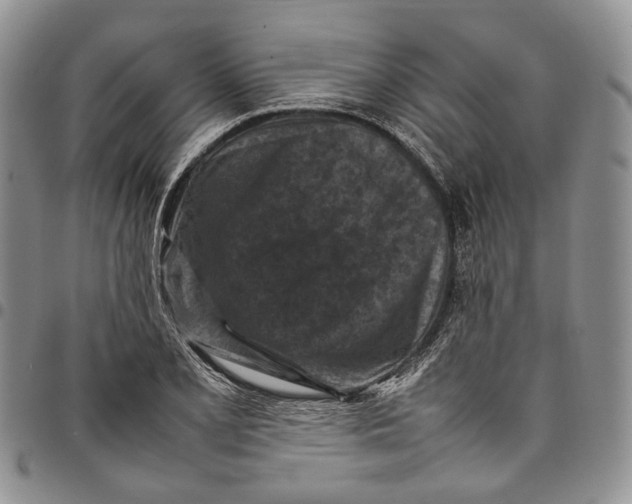 X0000098001077200804141201