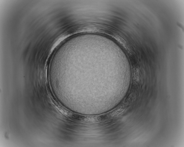X0000098001078200804141201