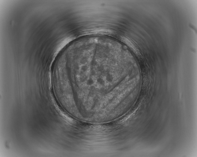 X0000098001079200804141201