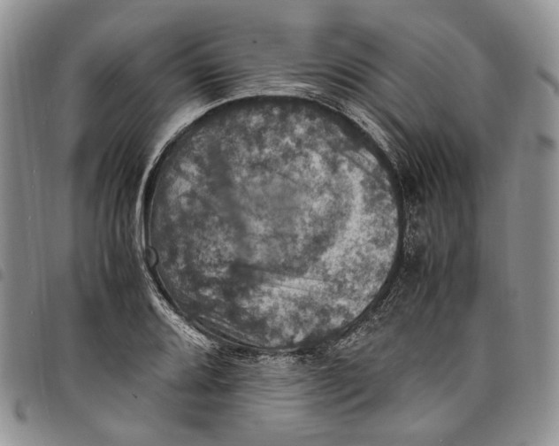 X0000098001080200804141201