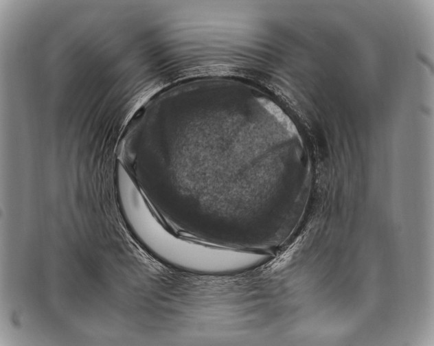 X0000098001081200804141201