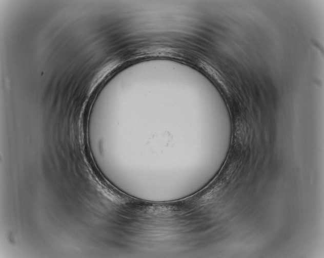 X0000098001082200804141201