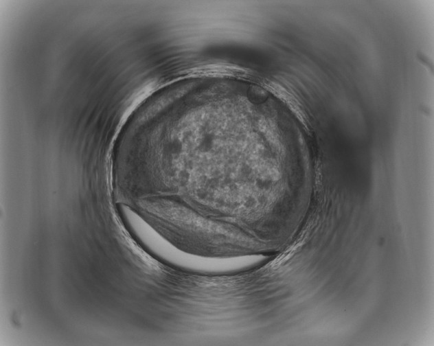 X0000098001083200804141201