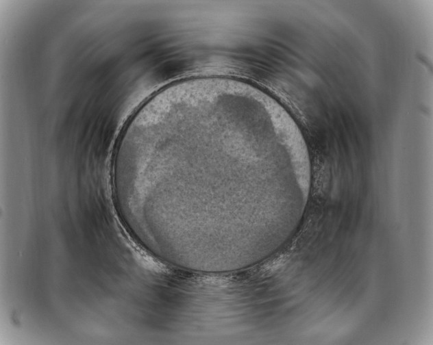X0000098001086200804141201