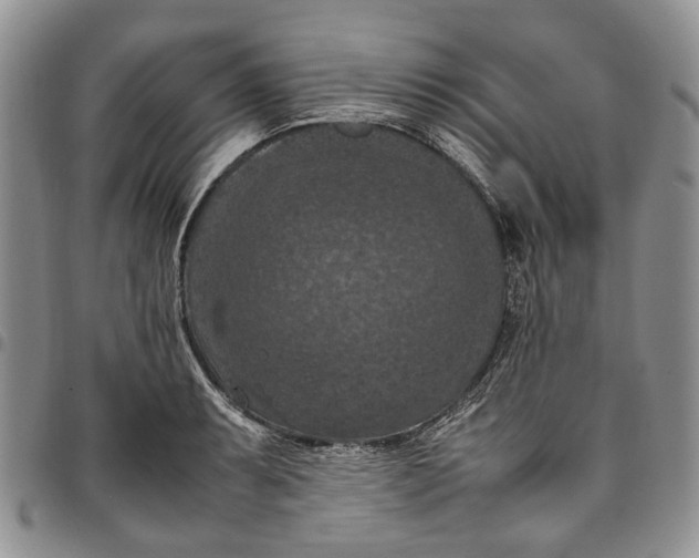 X0000098001087200804141201