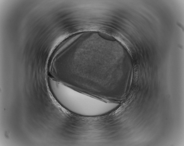 X0000098001088200804141201