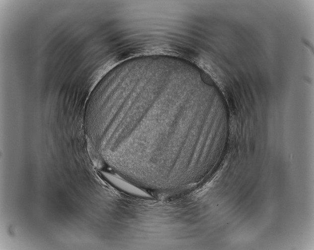 X0000098001089200804141201