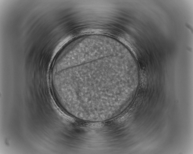 X0000098001090200804141201