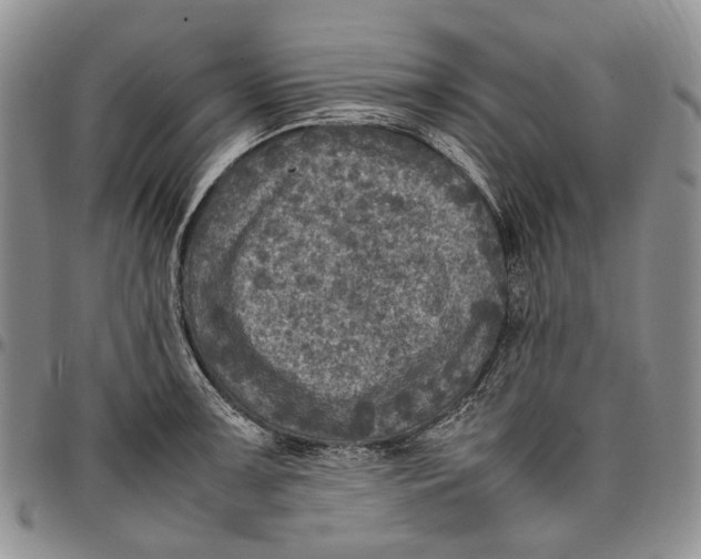X0000098001091200804141201